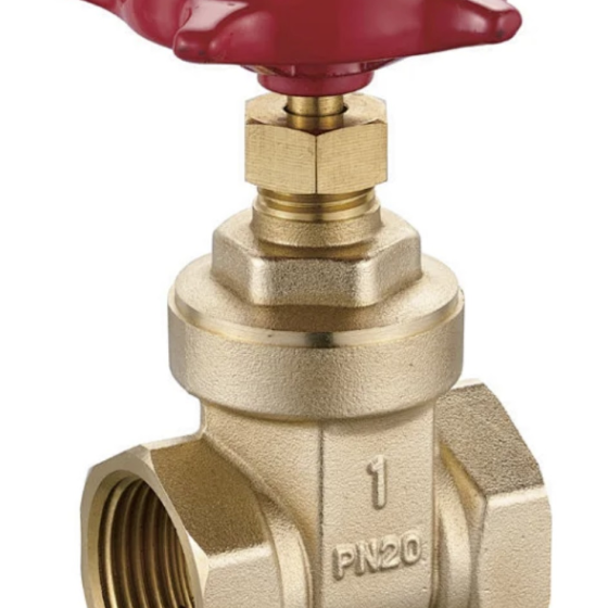 Brass gate valve