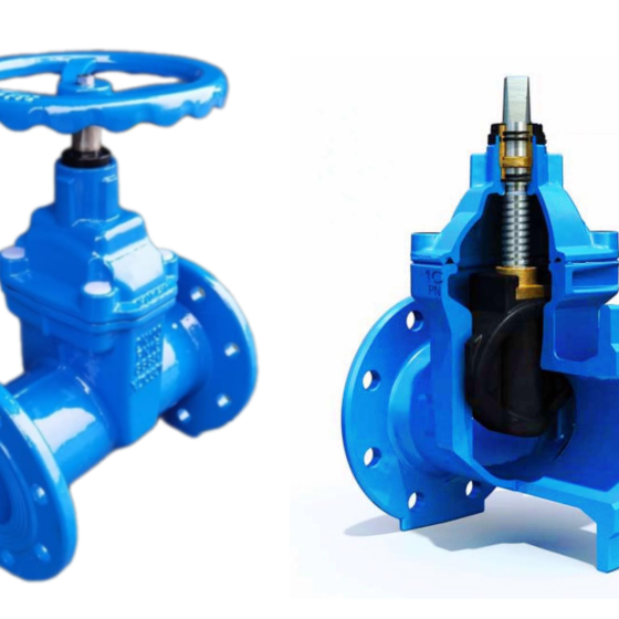 NRS Gate valve BS5163