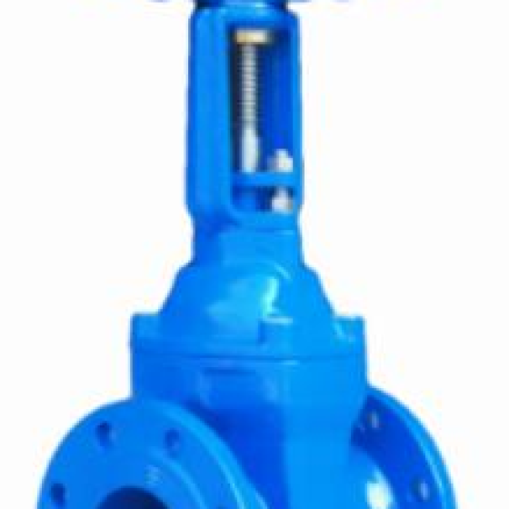 OS&Y gate valve BS5163