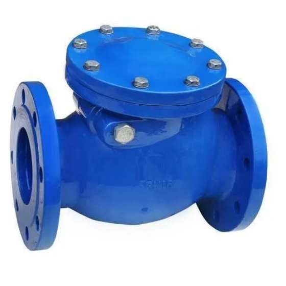 Swing check valve