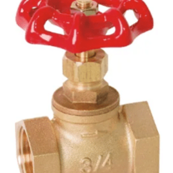 Brass globe valve